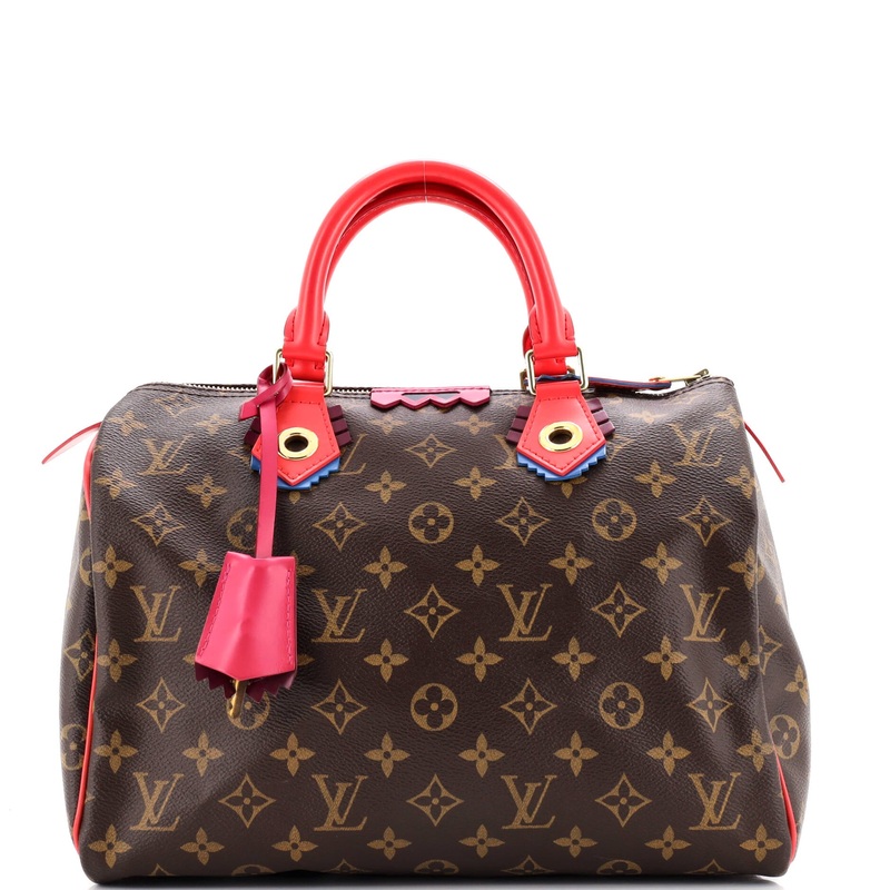 Speedy Handbag Limited Edition Totem Monogram Canvas with Leather 30