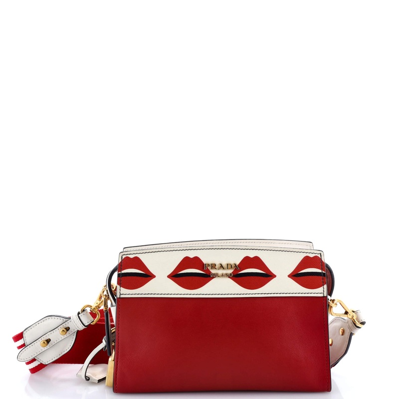Esplanade Crossbody Bag Printed Saffiano and City Calf Small