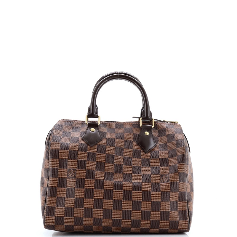 Speedy Handbag Damier 25
