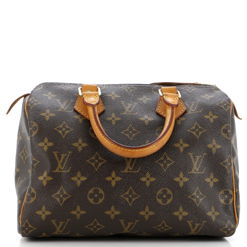 Speedy Handbag Monogram Canvas 25