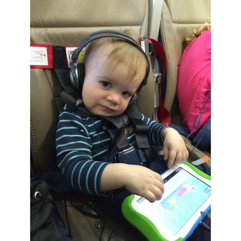 CARES Special Need Travel Restraint System