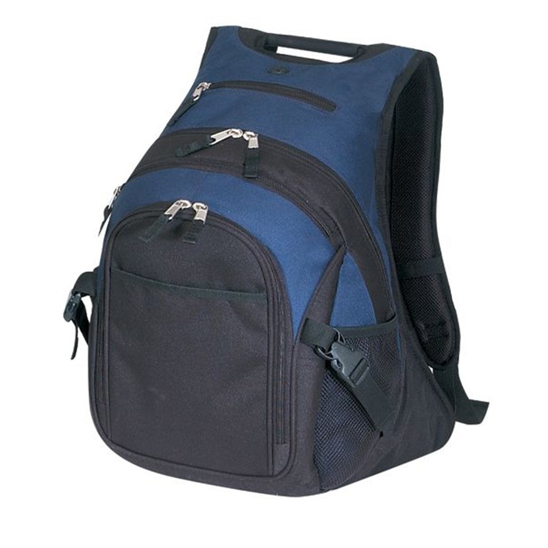 Deluxe Computer Backpack