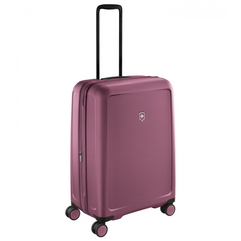 CONNEX MEDIUM HARDSIDE CASE CASSIS 69 CM