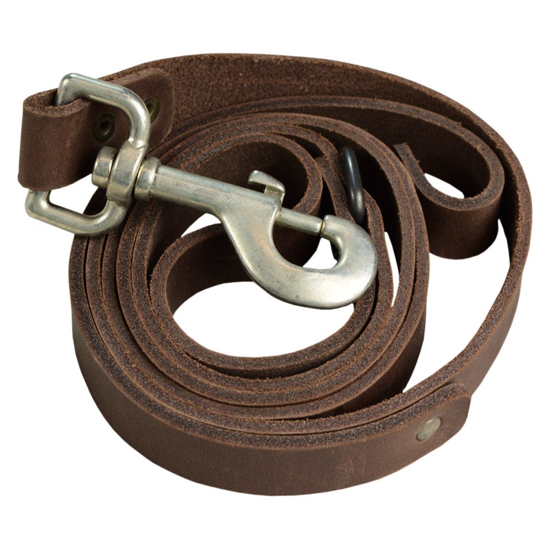 Traffic Dog Leash (3 ft 9 in)
