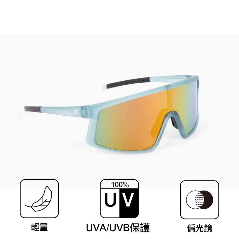 Stone Cat Polarized