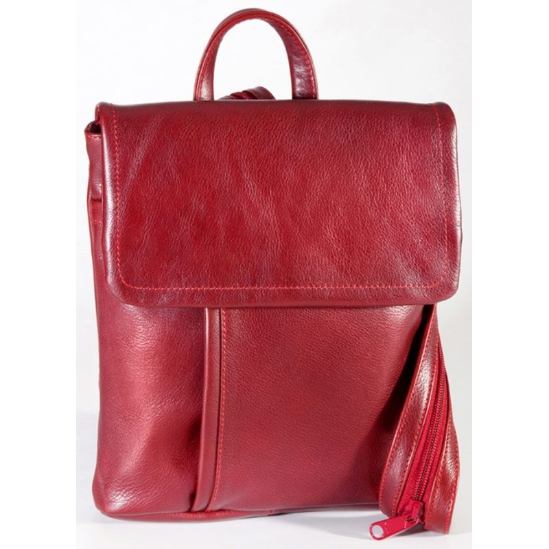 Derek Alexander BRISTOL -Medium Backpack, Tablet Friendly