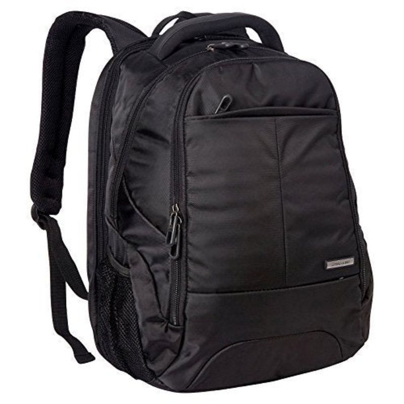 Samsonite Classic Business Pft Laptop Backpack (Black)