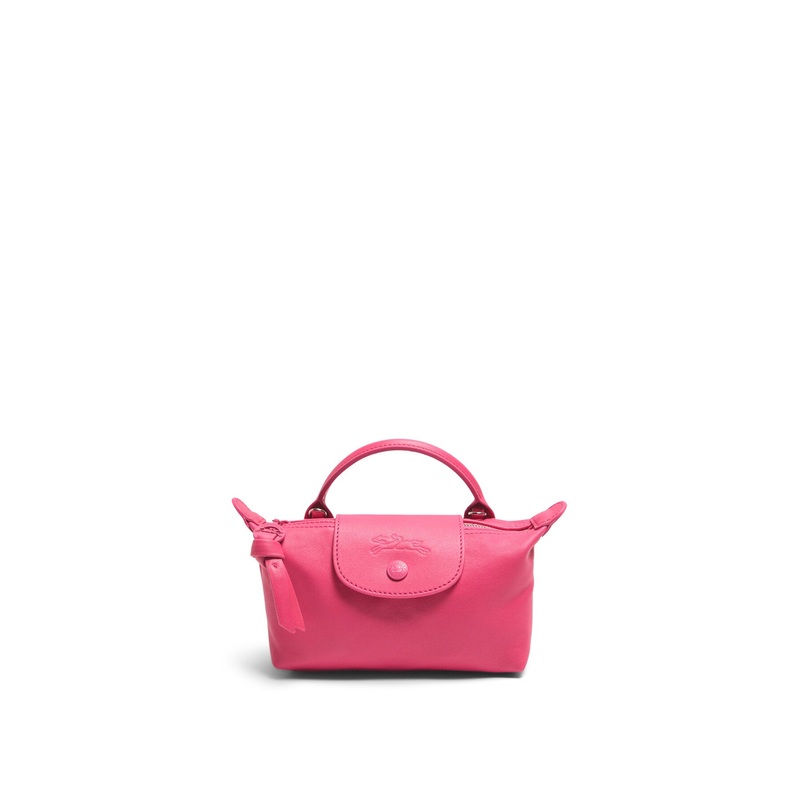 Le Pliage Extra Clutch