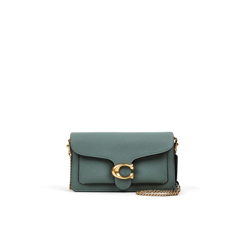 Tabby Chain Crossbody Clutch Bag