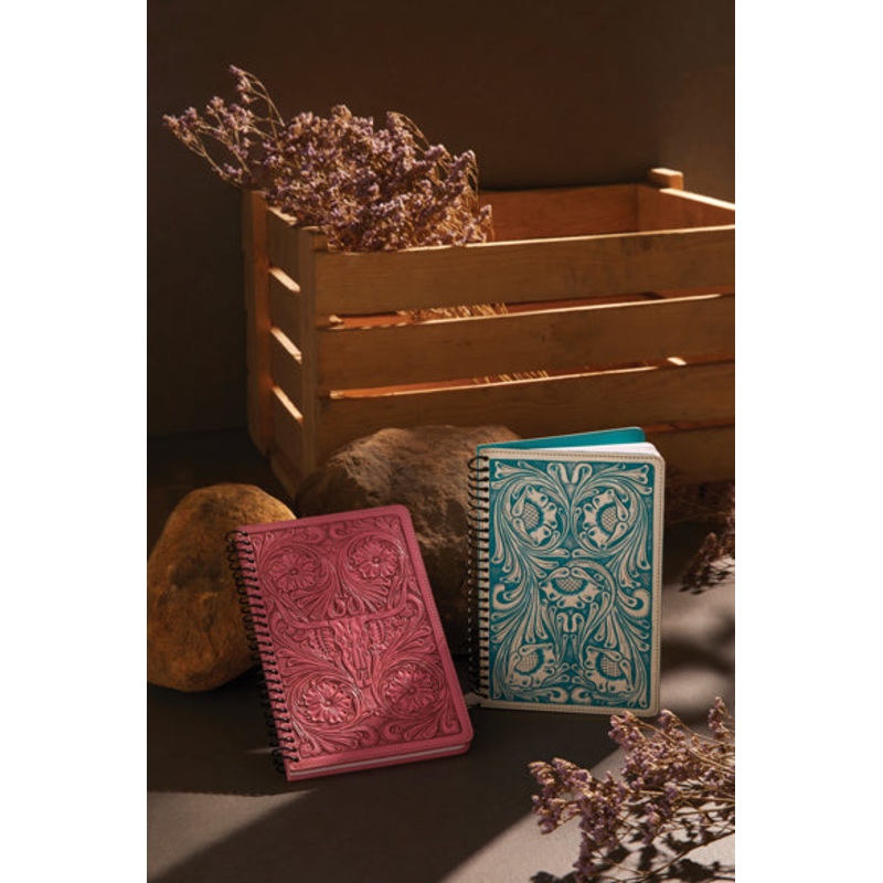 Steerhallow Canyon Diary in Frosted Combo Pack